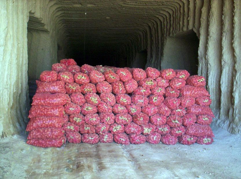 Patates Depoları